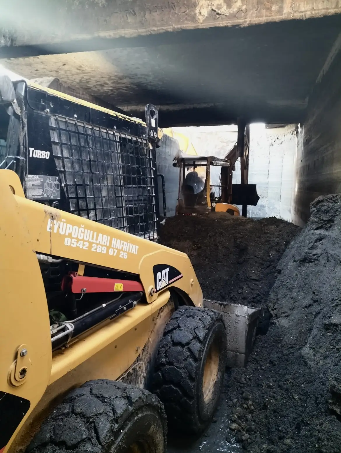 Cat 246B 